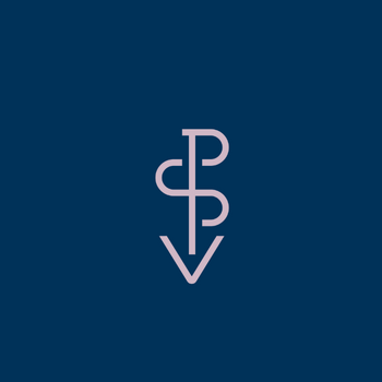 Pink Salt Ventures logo