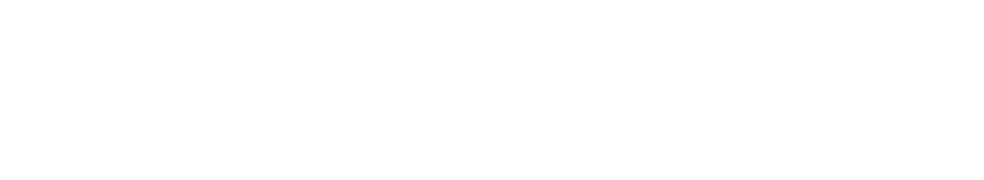 Visionaries Club logo