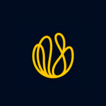Blossom Capital logo