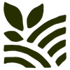 Black Seed logo